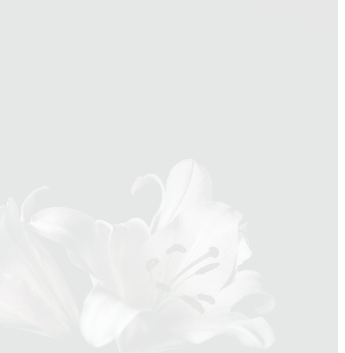 Lily